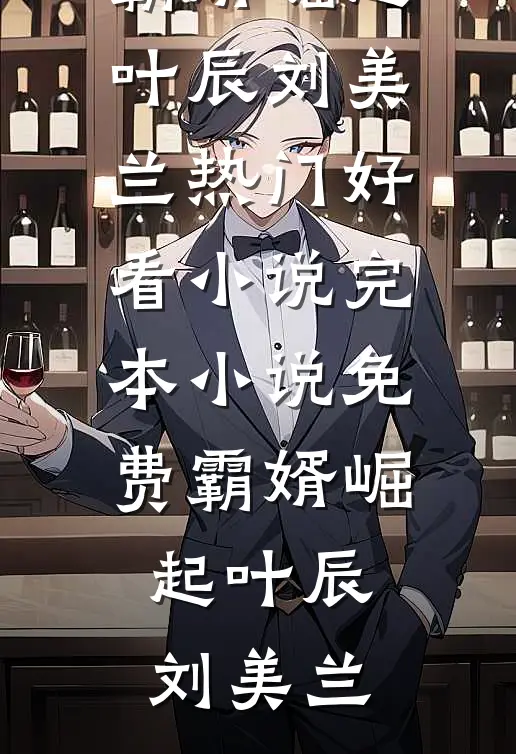 霸婿崛起叶辰刘美兰热门好看小说_完本小说免费霸婿崛起(叶辰刘美兰)